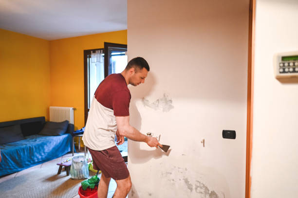 Best HVAC Mold Remediation in Lyncourt, NY